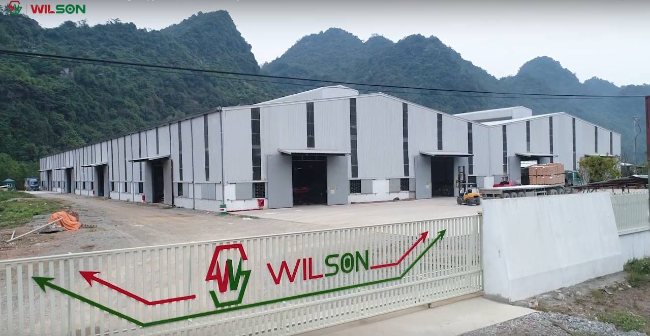Công ty cổ phần Wilson Việt Nam